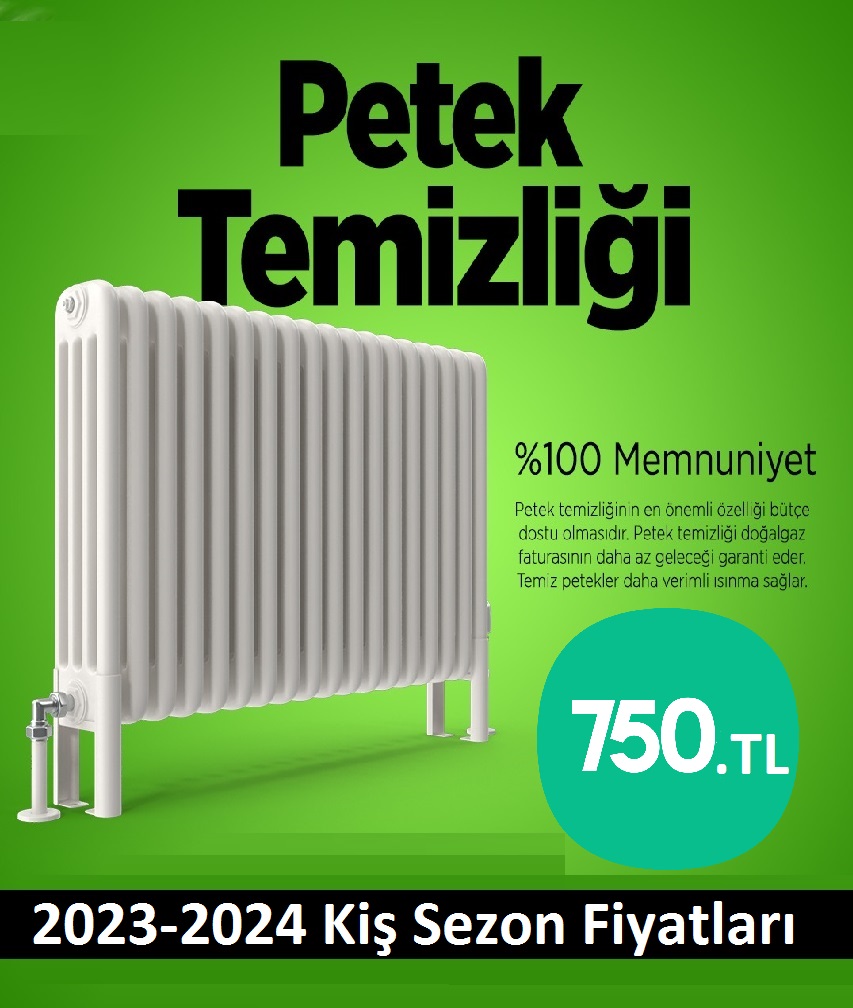 Acibadem Petek Temizligi